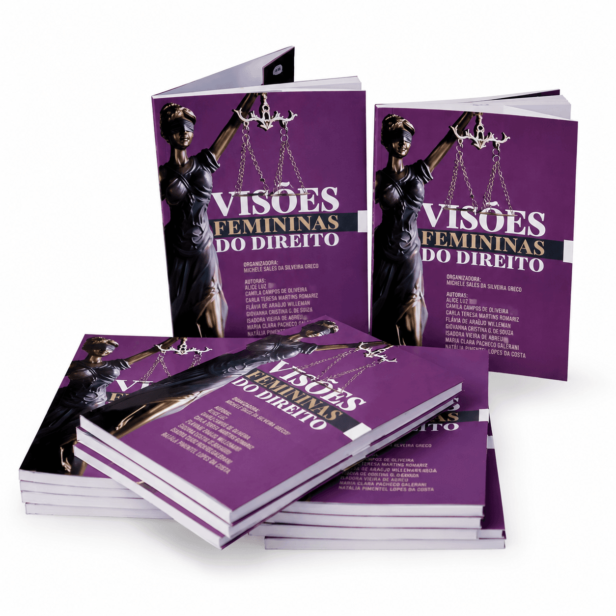 Visões Femininas do Direito